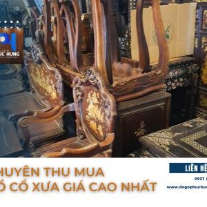 thu-mua-do-co-xua-gia-hap-dan-uy-tin-nhat-quan-go-vap