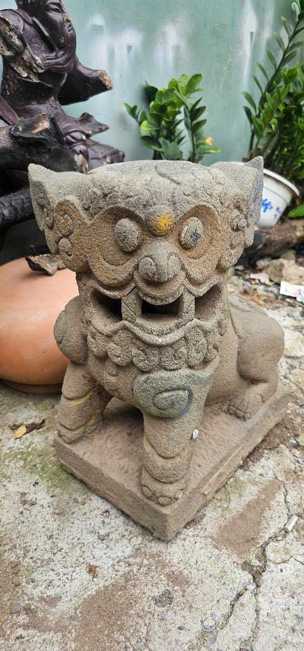 su-tu-da-cu
